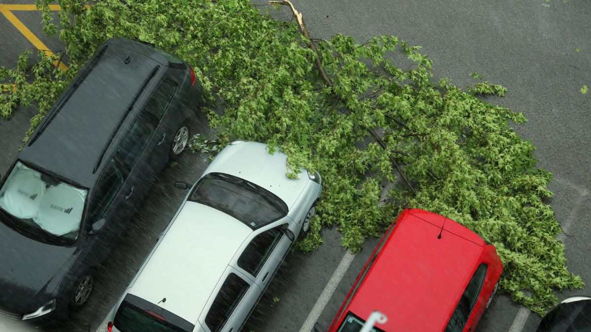 VIDEO Pogledajte kako je olujni vjetar porušio stabla po autima u Zagrebu