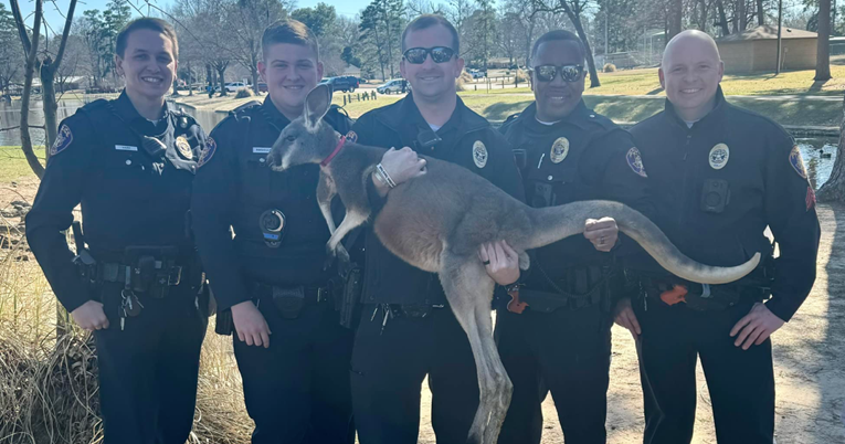 Policajci u Teksasu u šoku zbog dojave o klokanu u parku: "Ma sigurno, pa to je ludo"