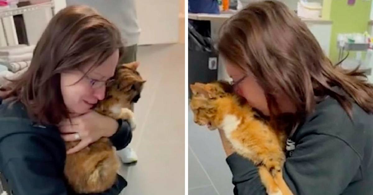 VIDEO Ma&#x10D;ka zavr&#x161;ila u azilu, mikro&#x10D;ip donio neo&#x10D;ekivan obrat