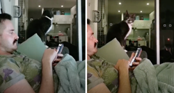 Naučila mačke da je vrijeme za jelo kad se oglasi alarm. Pogledajte kako reagiraju