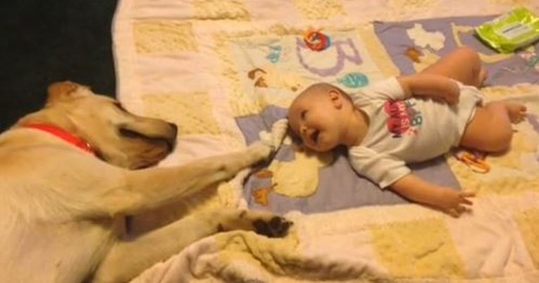 Pokazala preslatku igre bebe i psa: "Čak i kao štene znao je kako biti nježan"