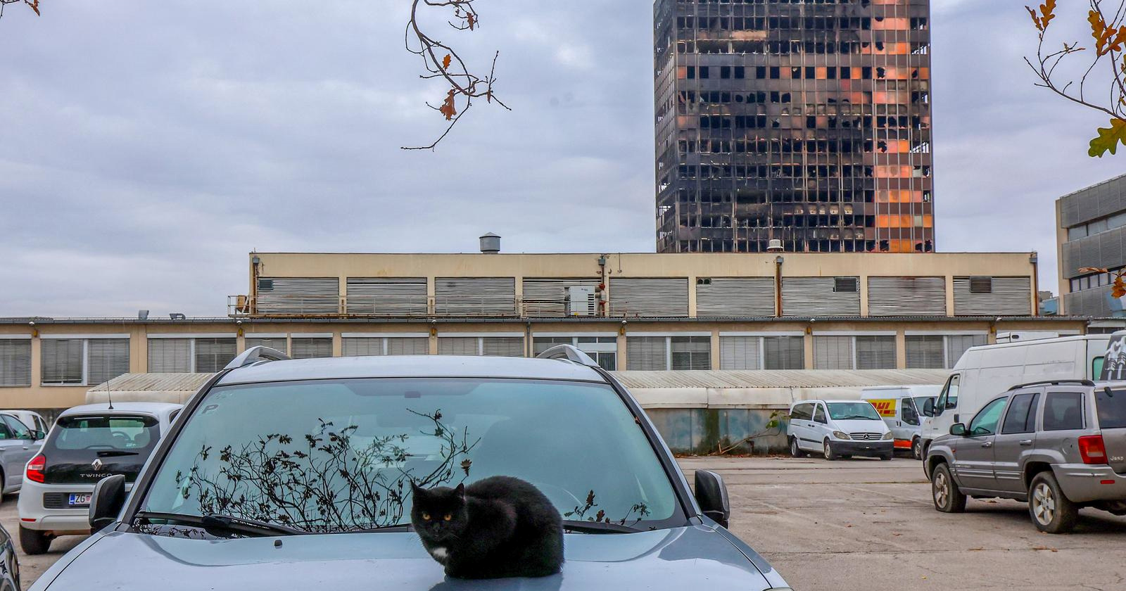 Vatrogasci gase Vjesnik, mačak odmara. Fotka dana iz srca Zagreba