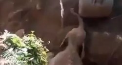 VIDEO Pogledajte kako je slonica zahvalila ljudima jer su joj spasili mladunče