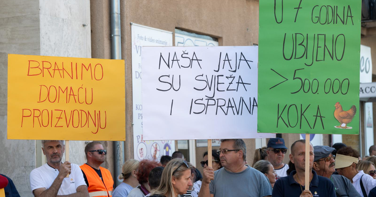 Vlasnik farme: Namjestili su mi nalaz o salmoneli, sad moram ubiti 163.000 nesilica