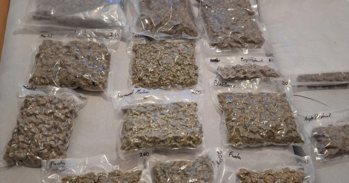 Uhvaćena velika mreža u Europi, jedan Hrvat. Droga, ubojstva, otmice...