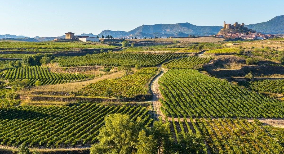 Ovo su najbolje europske regije za vinski turizam