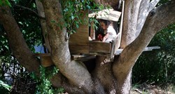 Tata sinovima napravio kućicu na drvetu, susjed ga prijavio. Mora je srušiti