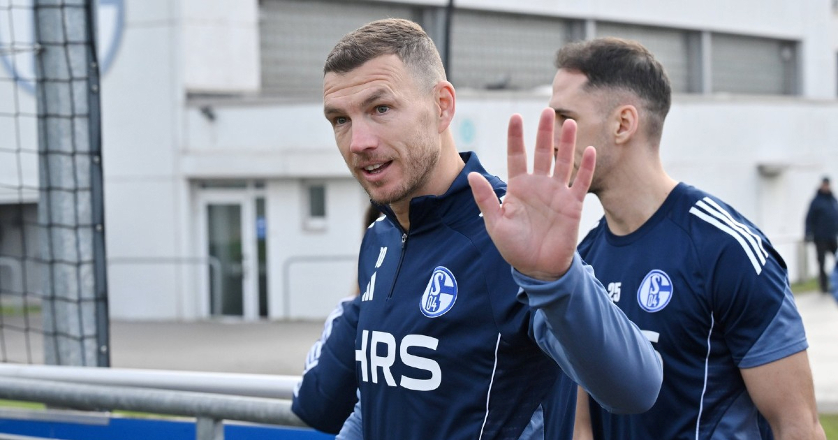 Ludnica u Schalkeu nakon dolaska Džeke. Obaraju se rekordi, 1000 navijača na treningu