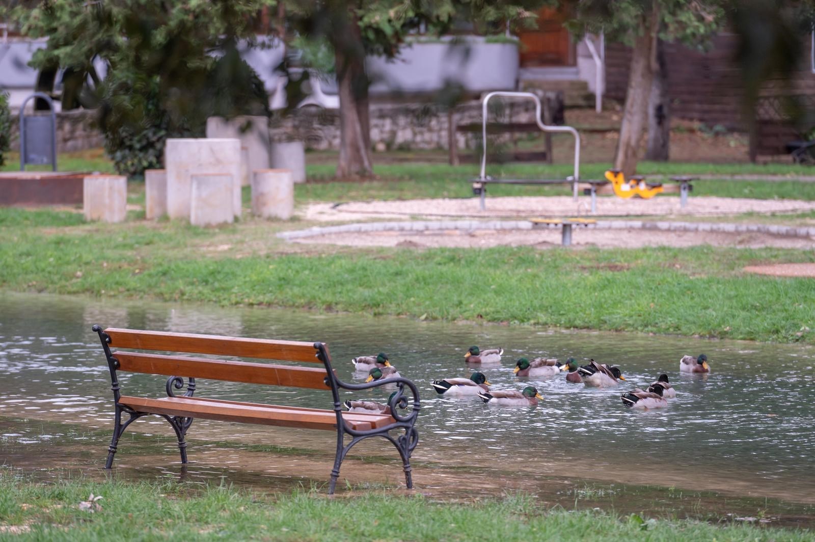 U poplavljenom zadarskom parku Vruljica umjesto šetača uživaju patke