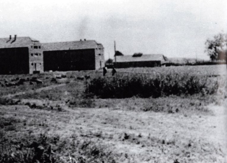 U Jasenovcu je nađeno malo žrtava. Znanstvenici tumače zašto