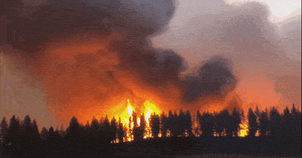 Ljeto vremenskih ekstrema: Poplave, požari, toplinski valovi i tornada diljem svijeta