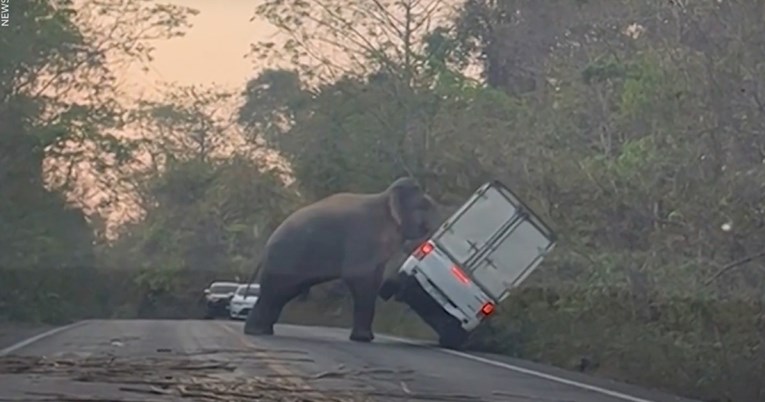 VIDEO Pogledajte kako je slon preokrenuo kamionet kao da je igračka