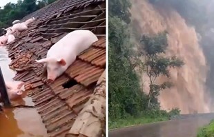VIDEO Nezapamćene poplave u Brazilu. "Ovo je katastrofa, bit će još gore"
