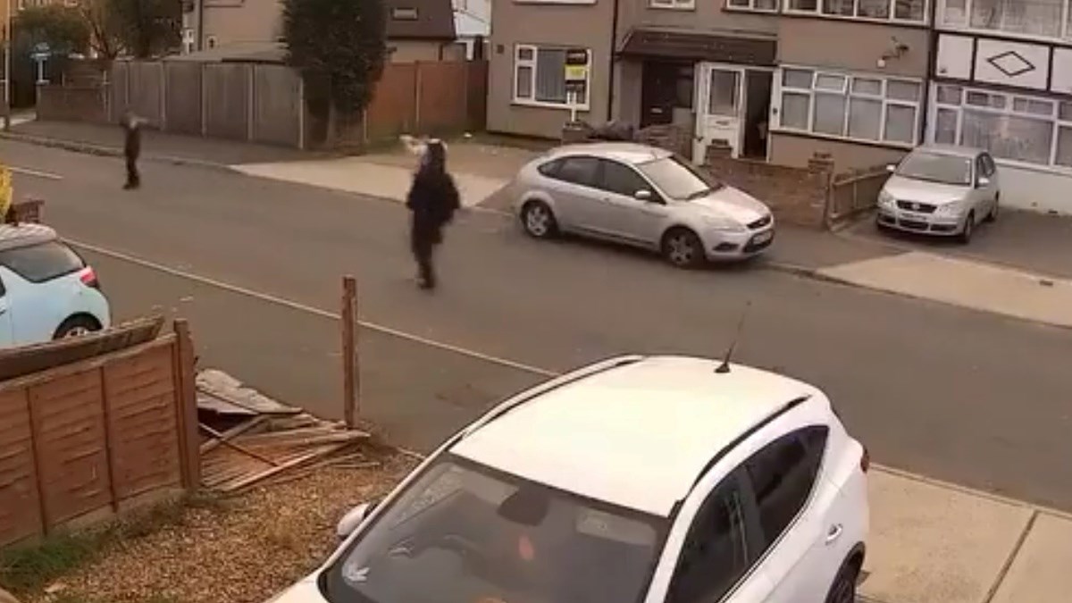 Optužen Afganistanac zbog ubojstva muškarca koji je šetao psa u Londonu