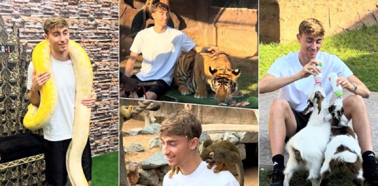 Maženje tigra, grljenje zmije, potezanje užeta s lavicom. To je Božić Realovog asa