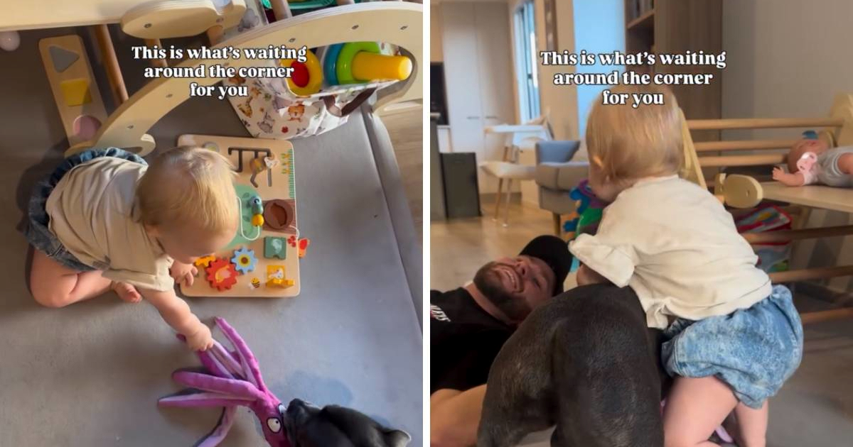 Tata podijelio video staforda koji se igra s bebom, preslatki su 🥰