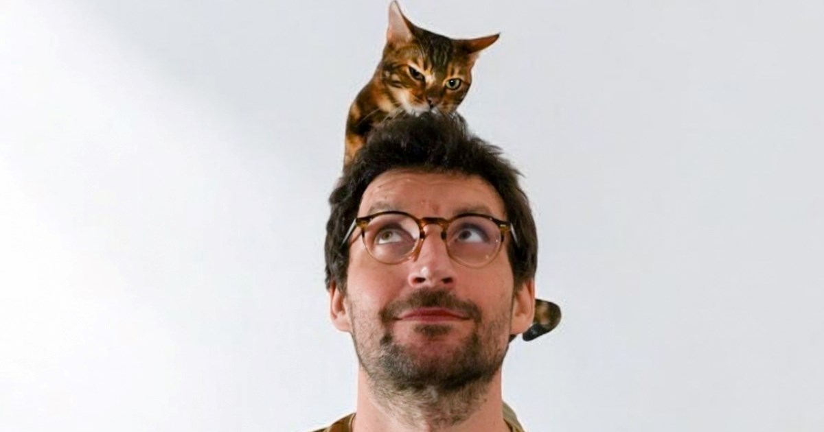 Udomi, voli, ne kupuj: Poznati podržali inicijativu za mace koje traže dom