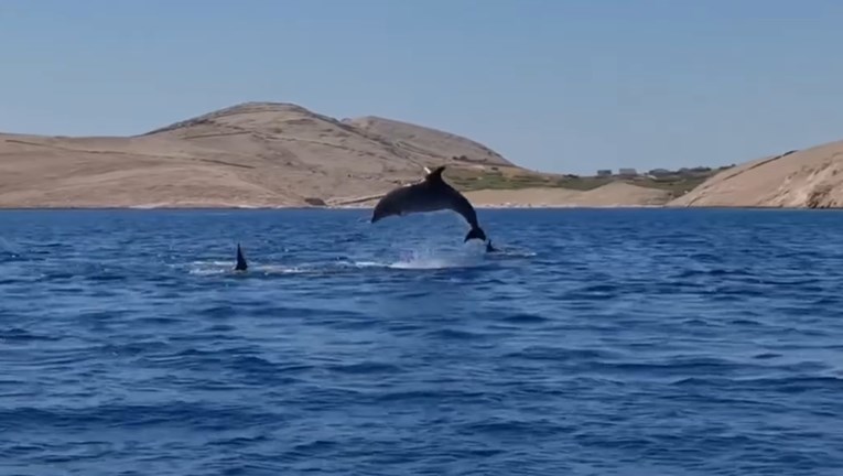 Turisti gumenjakom kod Paga uletjeli među jato dupina, objavljena snimka