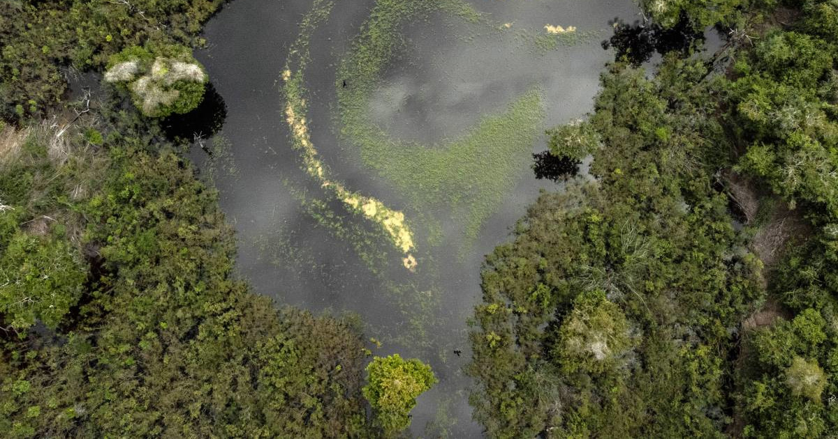 Drevna civilizacija preoblikovala Amazoniju. Otkriveni novi važni tragovi