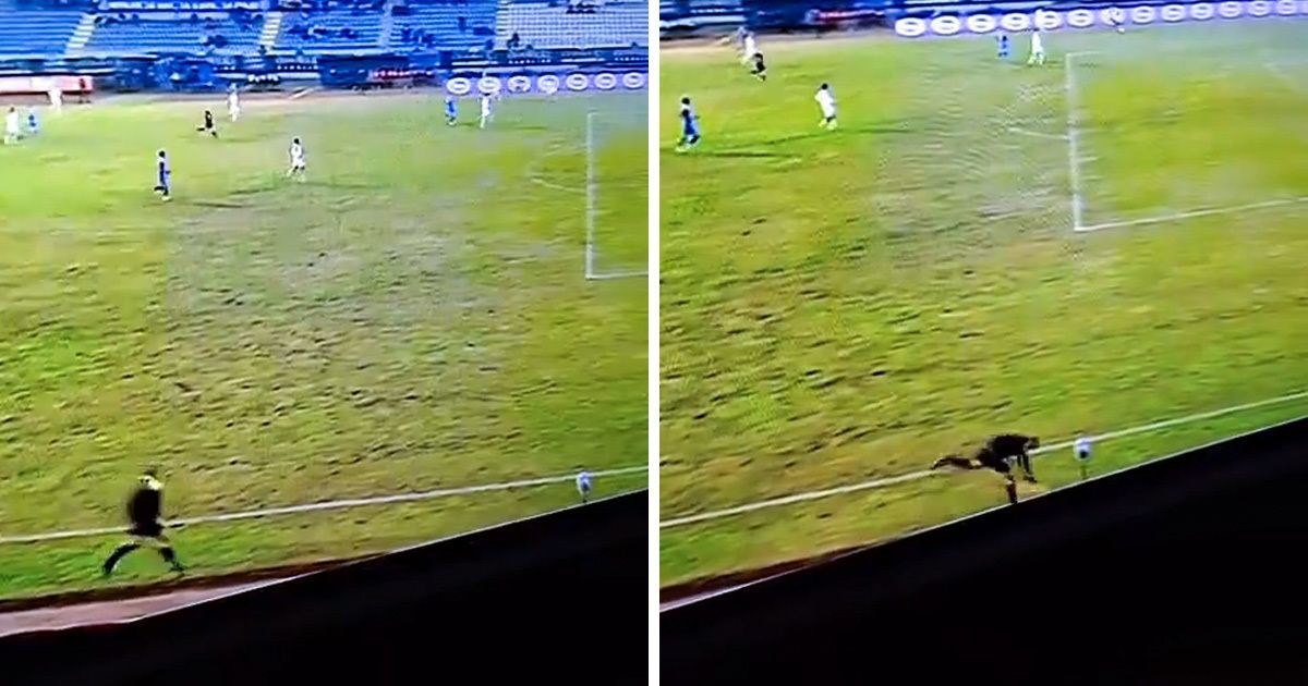 Bosanski sudac je hit. Pogledajte njegov trk i pad u Bijeljini