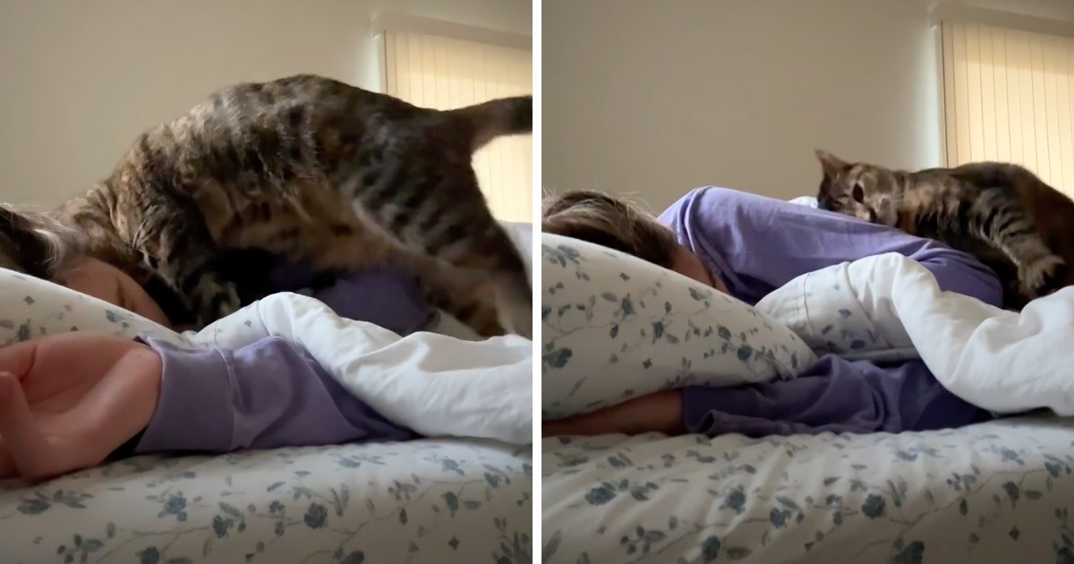 Žena podijelila sladak razlog zbog kojeg nijedno jutro ne može ostati dulje spavati