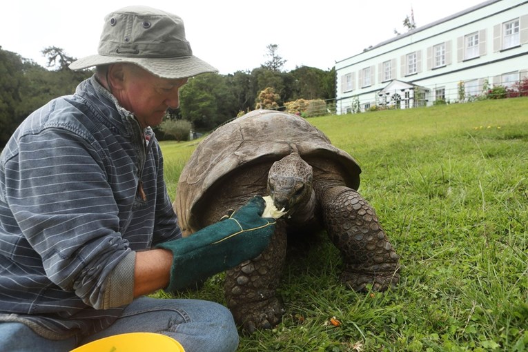 Najstarija kornjača na svijetu napunila 190 godina