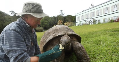 Najstarija kornjača na svijetu napunila 190 godina