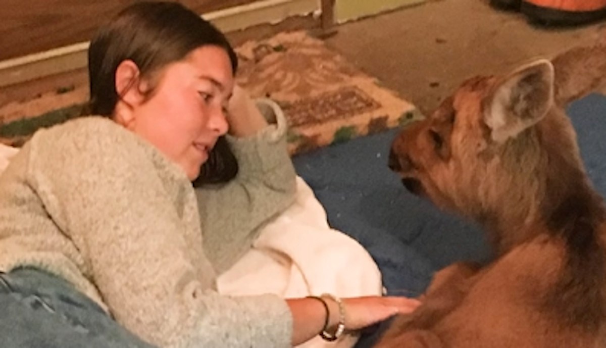 Udomili su dva losa koja su ostala bez majke, no ovo nisu očekivali