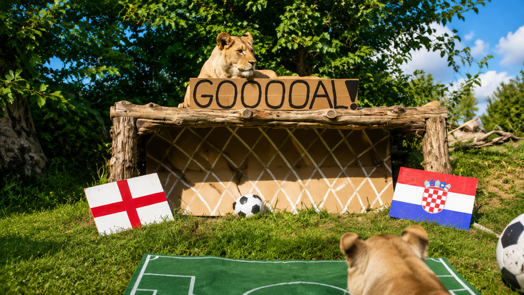Lavice u ZOO-u u Dallasu predvidjele pobjednika večerašnje utakmice