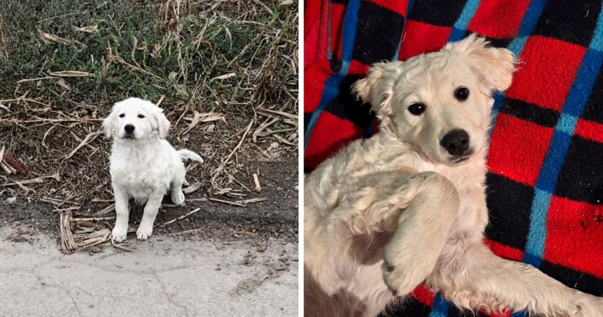 Malena Anika preživjela je jer su je spasili dobri ljudi, treba privremeni dom