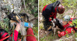 Riječki HGSS-ovci dva dana spašavali psa Tomija. Pronašli su ga na dnu strme jaruge