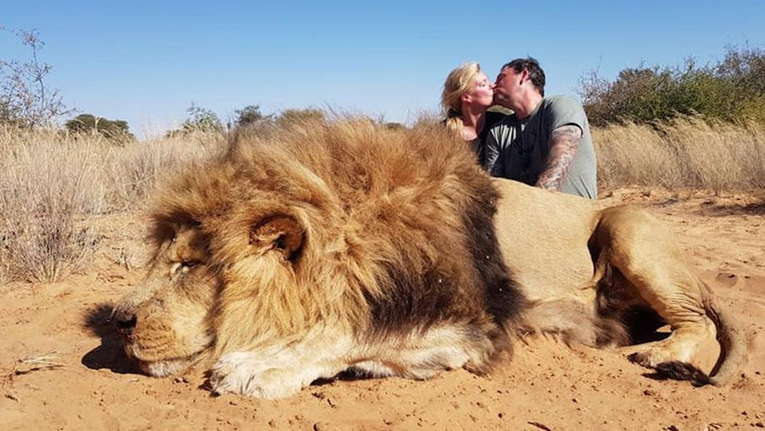 Muž i žena se besramno ljubili na fotografiji kraj lavova koje su ubili