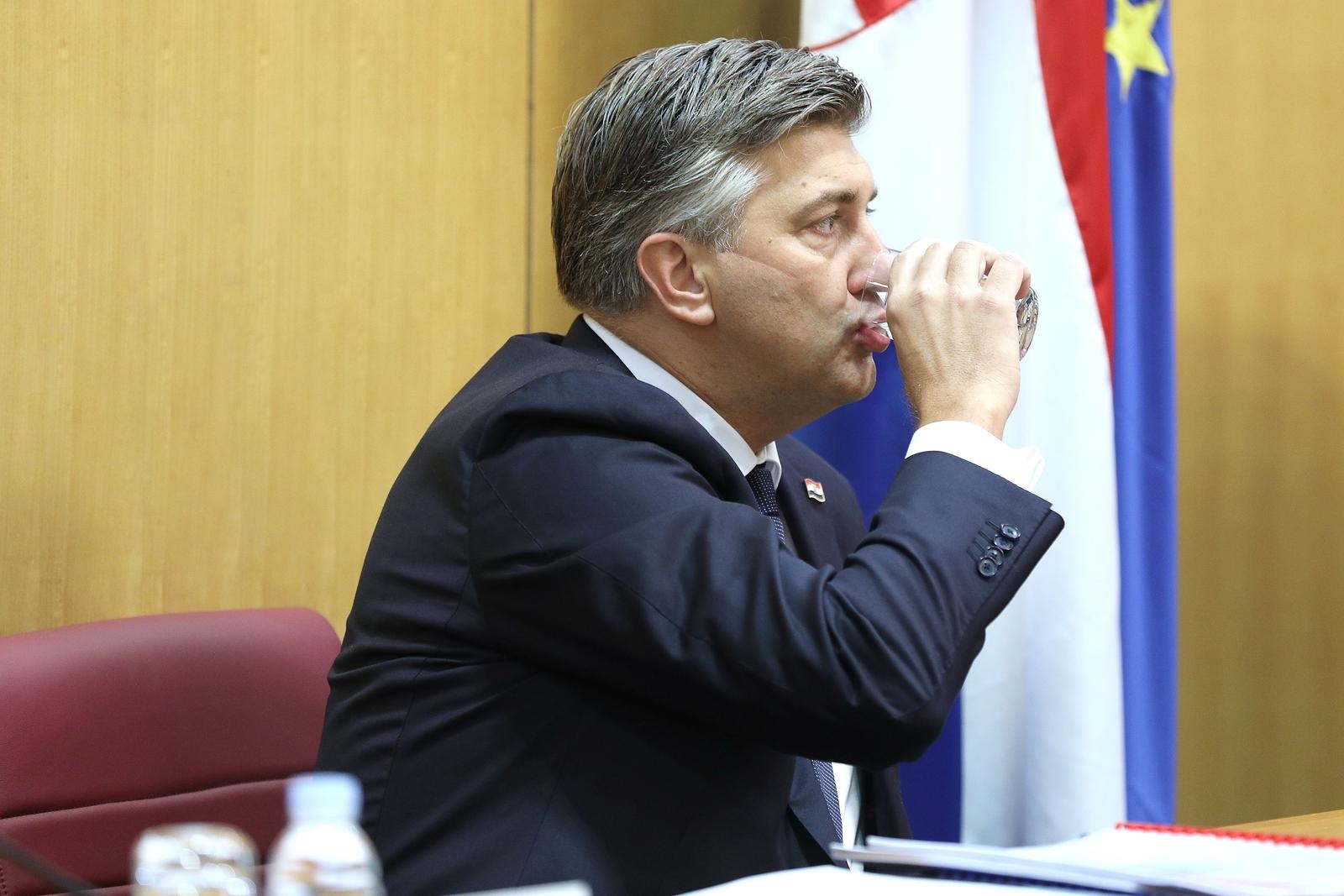 Plenković će se danas hvaliti u saboru