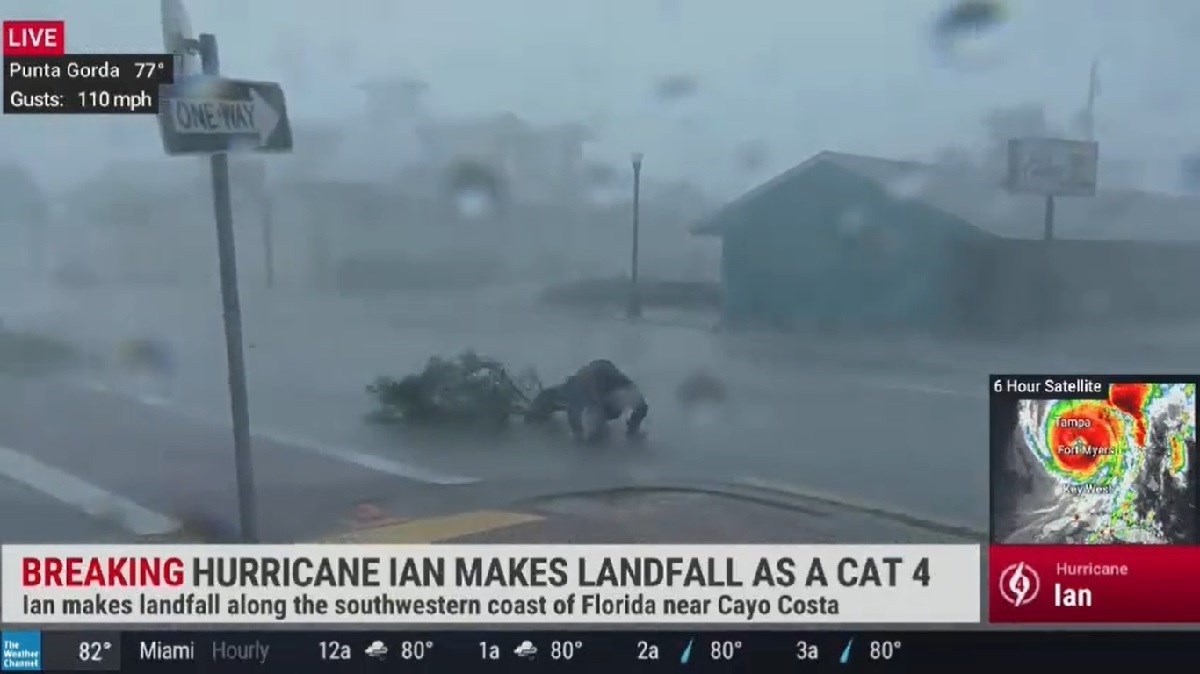 VIDEO U reportera s Floride se zabila grana, kolega ga molio da se vrati u studio