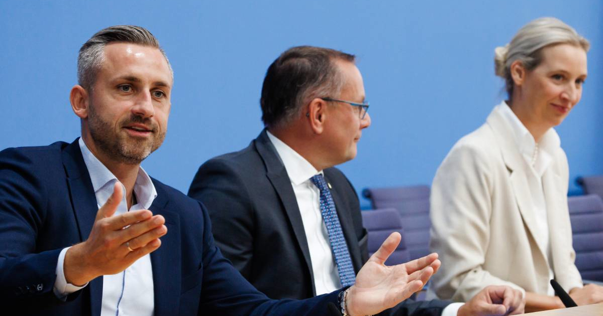 Putinov čovjek ponudio suradnju AfD-u: Vratimo jeftini ruski plin
