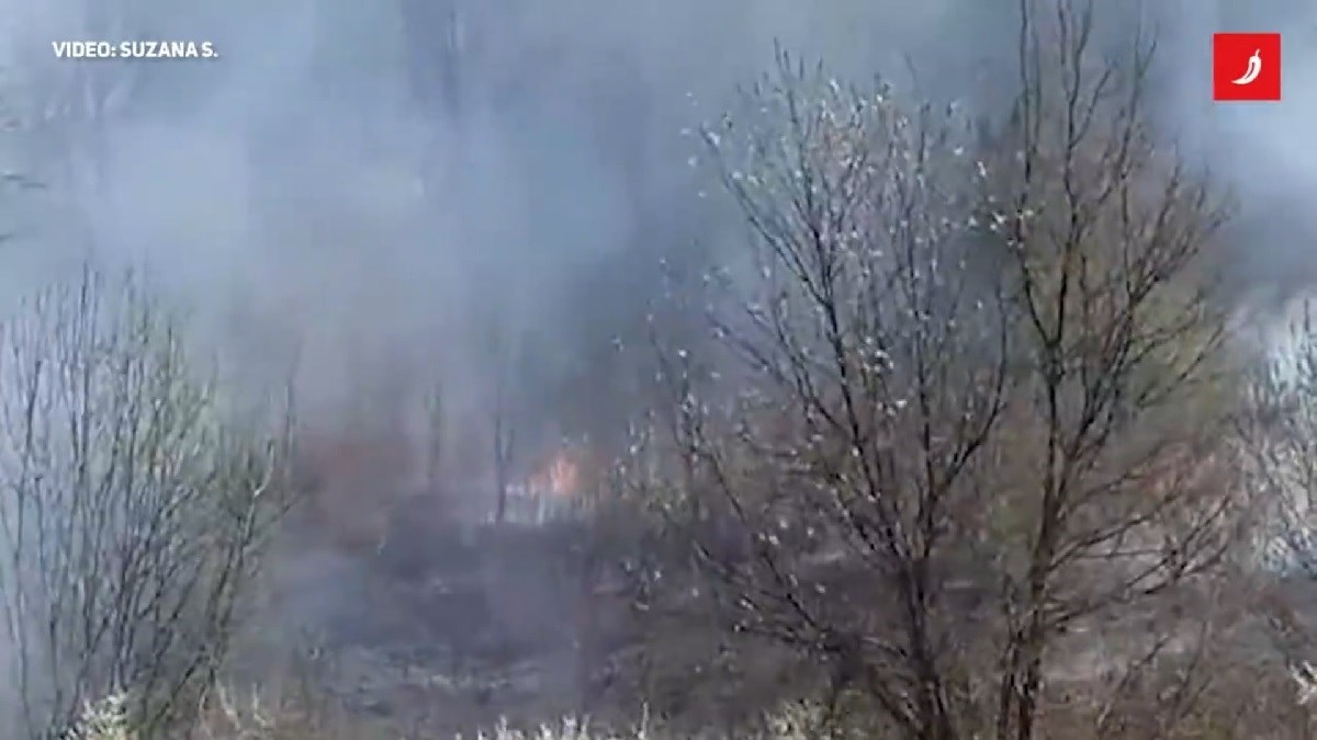 Požar kod Petrinje, zapalila se šikara