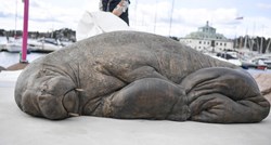 Ženka morža koja je eutanazirana zbog opasnosti za ljude dobila kip u Oslu