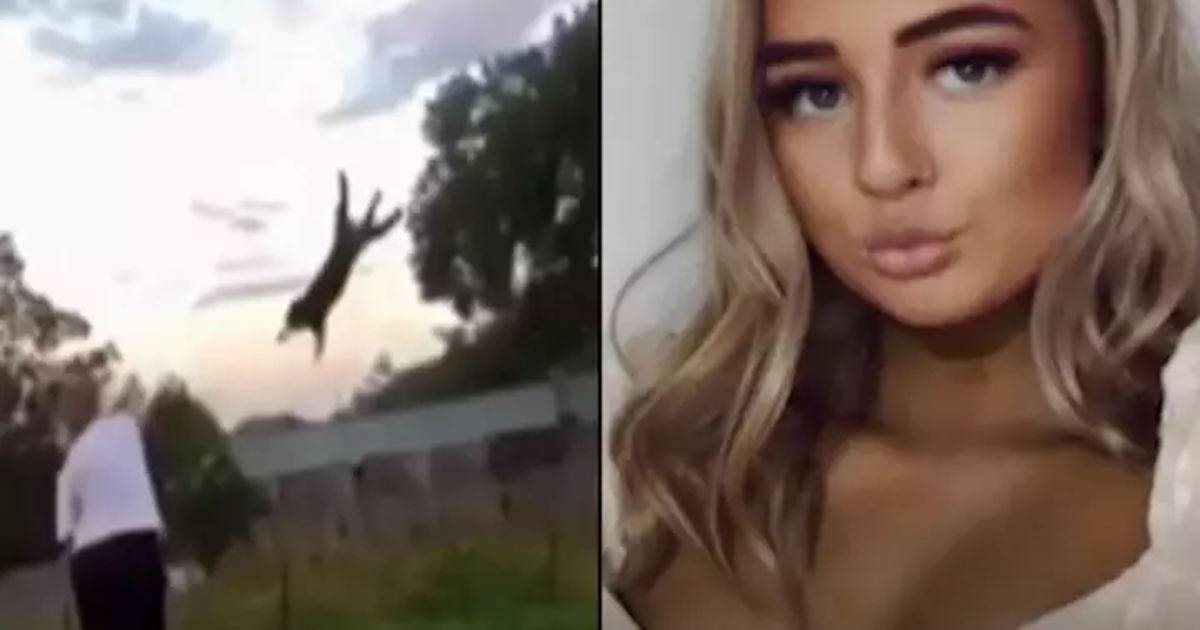 Australka pod istragom zbog bacanja mačke kod ljutitog psa, evo što je čeka