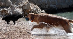 Grad Split želi urediti plažu za pse, stanari bijesni: "Djeci žele oduzeti kupalište"