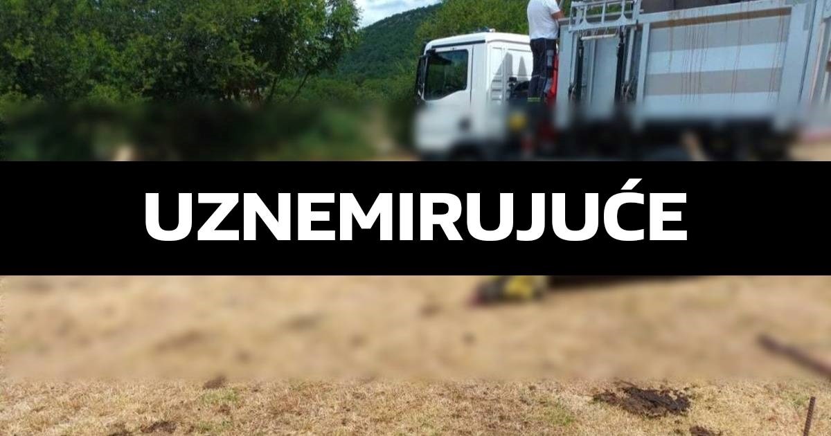 Pomor stoke u Zagori, nitko ne zna što je uzrok. Stočar: Bojimo se