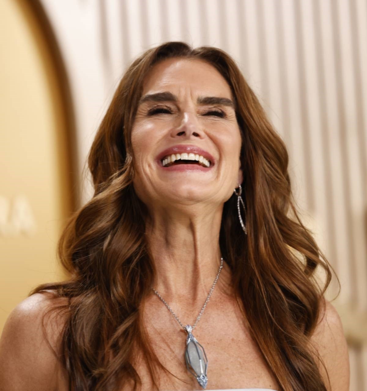 Zašto će Brooke Shields sav svoj skupocjeni nakit ostaviti samo jednoj kćeri?