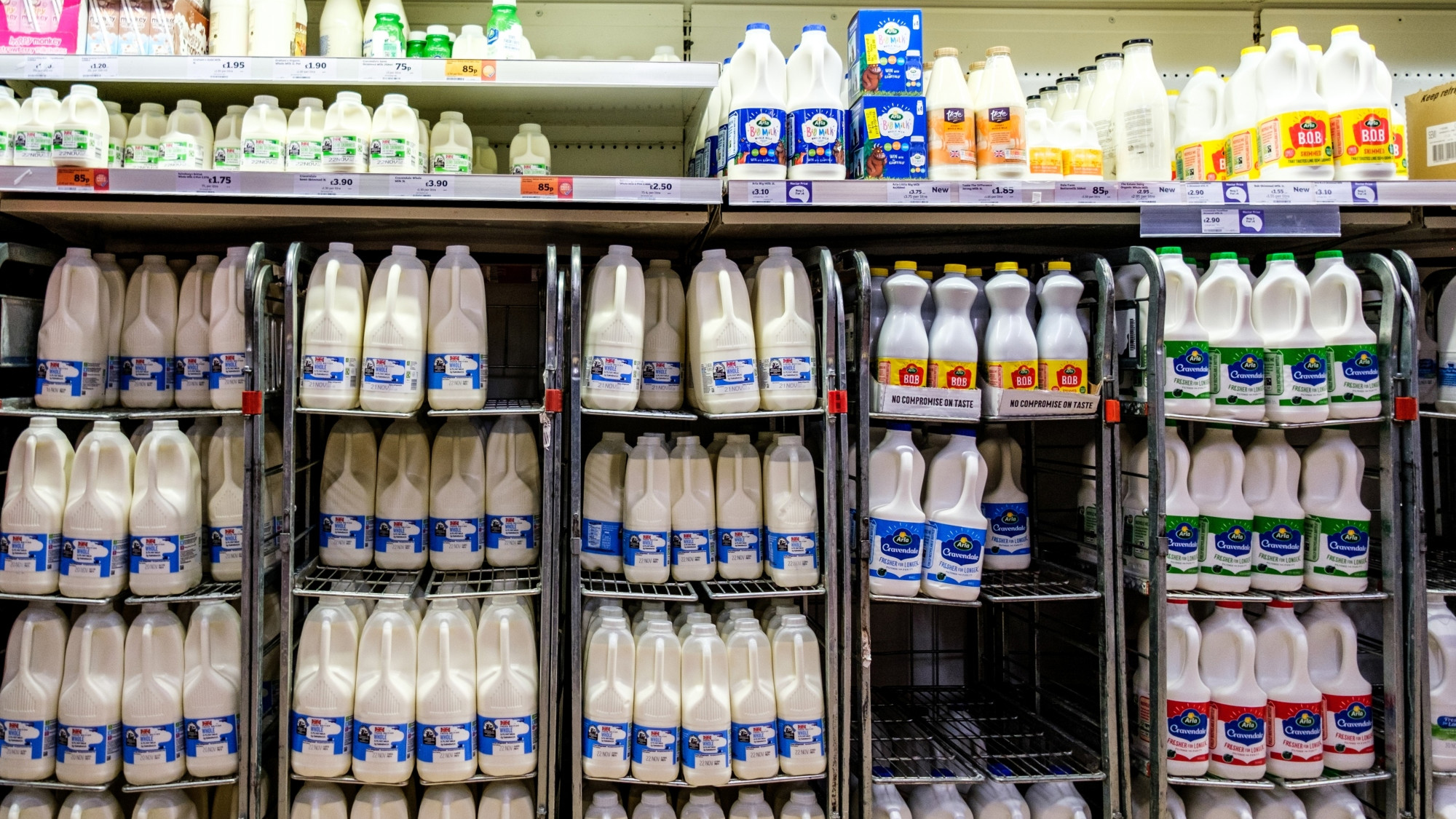 Nutricionisti se složili koje je mlijeko zapravo najzdravije