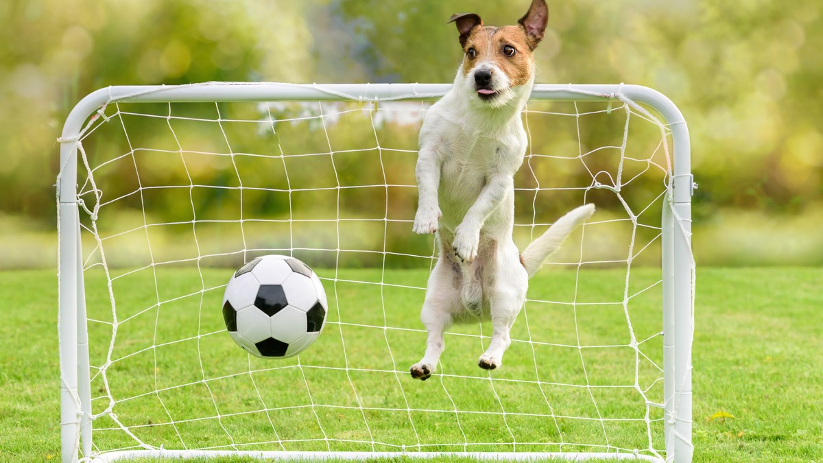 Ponekad su možda malo nespretne, ali mi ih baš takve najviše volimo