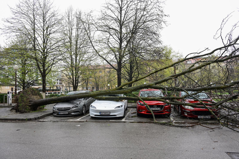 Na Medvednici i u zagrebačkim parkovima je opasno po život, kažu Hrvatske šume