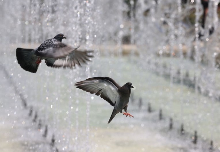 Skoro 200 država dogovorilo povećanje UN-ovog proračuna za klimu za 10 posto