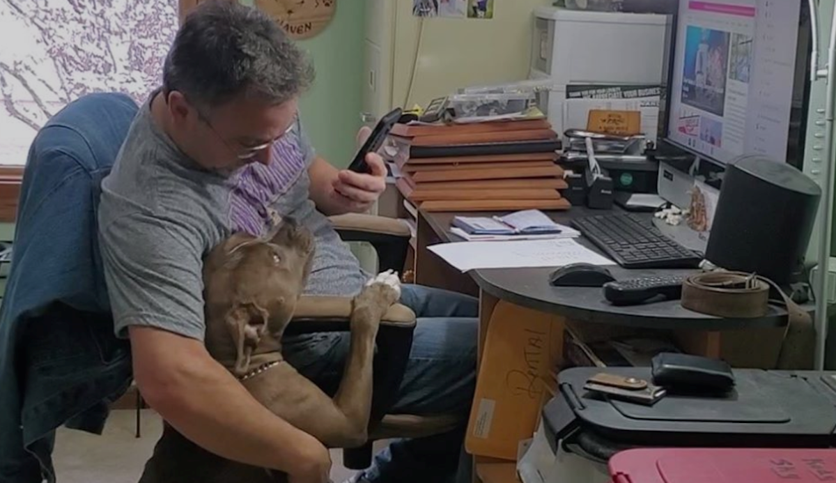 Snimila je zaručnika i psa u najslađem trenu, a oni nisu imali pojma o tome