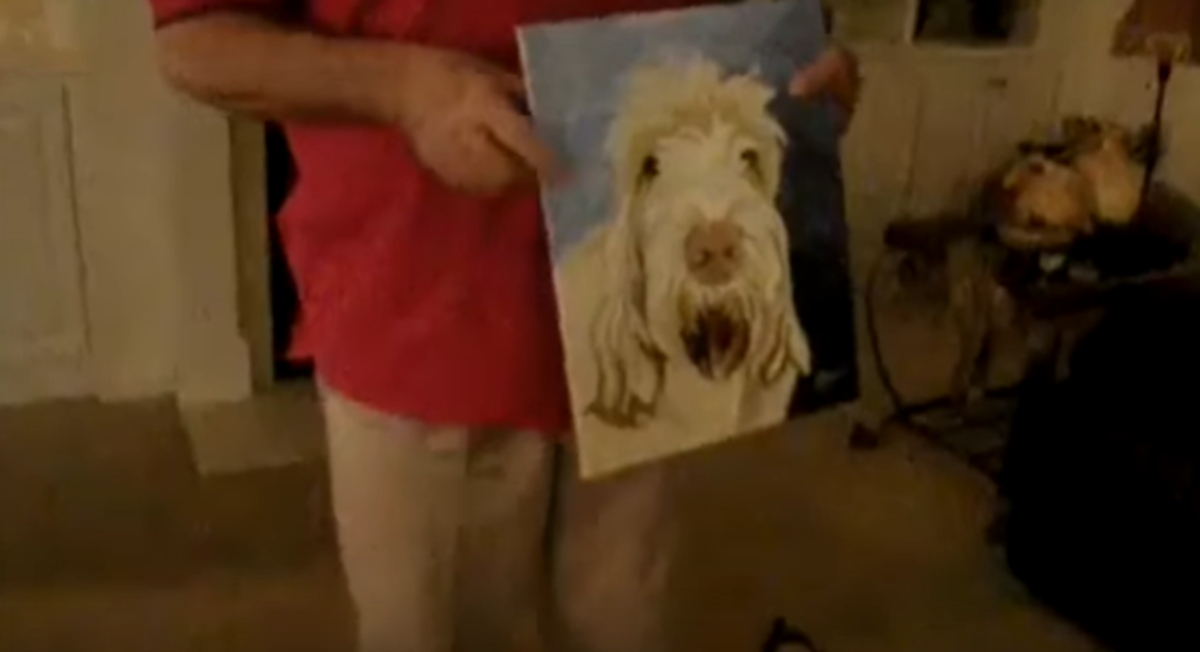 Jesam li to ja? Pas ugledao svoj portret pa reagirao na presmiješan način