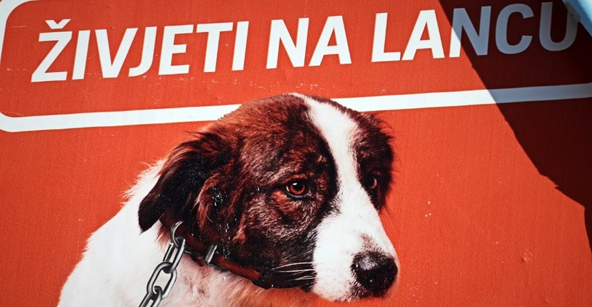 PETA poziva Plenkovića da zakonski zabrani držanje pasa na lancu