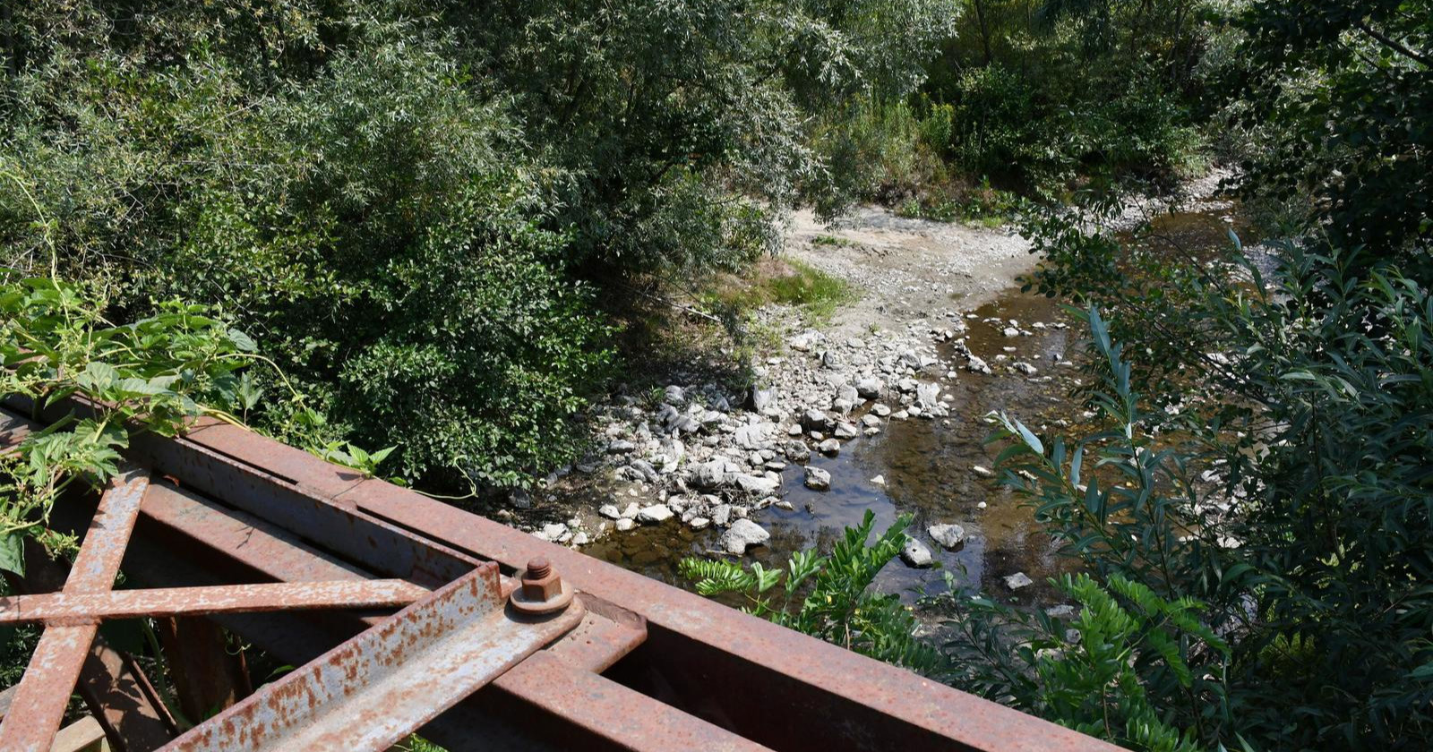 Šef poljoprivredne komore: Suša više nije iznimka, moramo mijenjati sustav