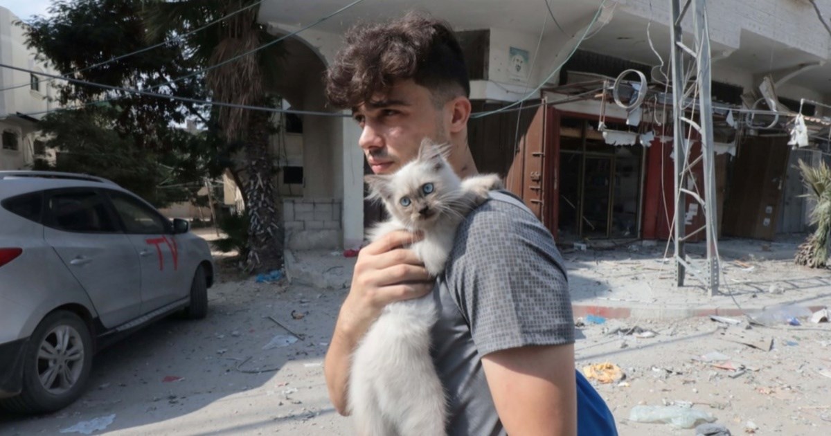 Izraelci spasili životinje iz zoološkog vrta nakon napada Hamasa